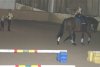 dsc00143.jpg