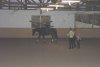 dsc00144.jpg