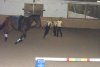 dsc00148.jpg