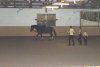 dsc00150.jpg
