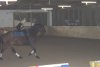 dsc00156.jpg