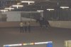 dsc00168.jpg