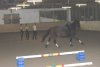 dsc00169.jpg