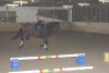 dsc00172.jpg