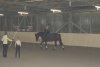 dsc00194.jpg