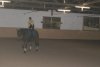 dsc00195.jpg