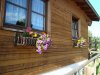 dsc01058.jpg