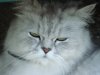 dsc01064.jpg