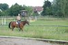 dsc_8830.jpg